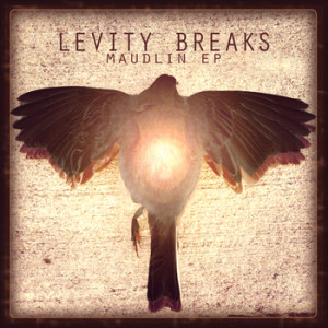 Levity Breaks - Maudlin